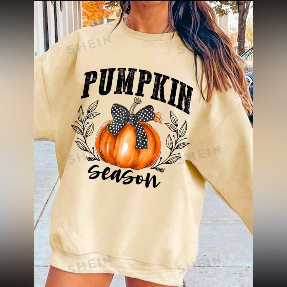 Pumpkin Season 🎃 Pullover 🍂